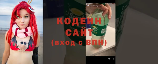 ГАЛЛЮЦИНОГЕННЫЕ ГРИБЫ Арсеньев