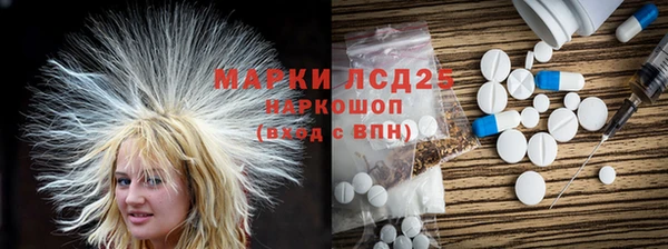 ГАЛЛЮЦИНОГЕННЫЕ ГРИБЫ Арсеньев
