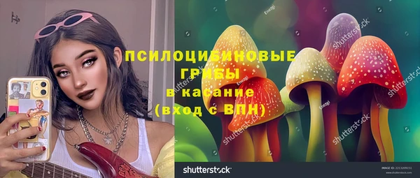 стафф Армянск