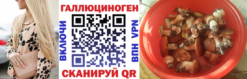 Псилоцибиновые грибы Magic Shrooms наркошоп mega ONION Красный Холм