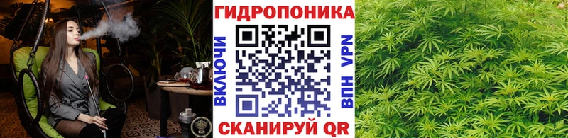 hydra вход  Красный Холм  Шишки марихуана ГИДРОПОН 